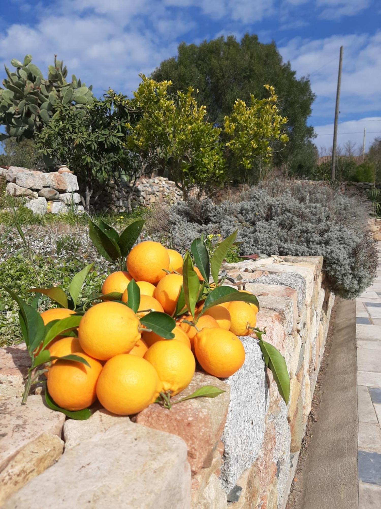 Casale Diletta Bed & Breakfast Castiadas Exterior photo