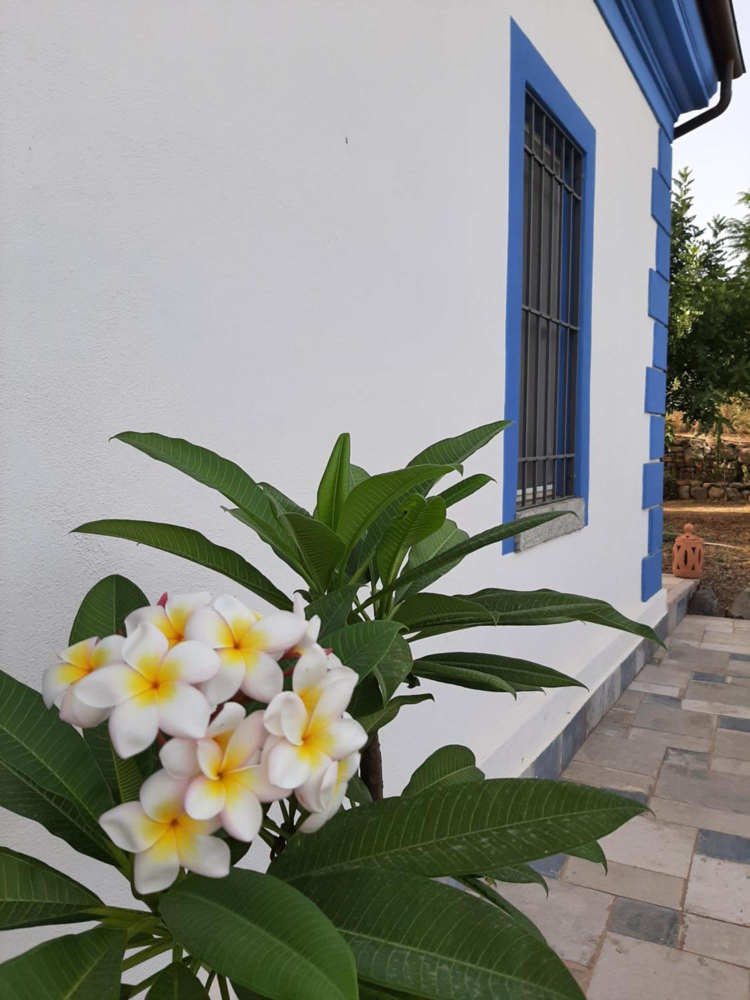 Casale Diletta Bed & Breakfast Castiadas Exterior photo