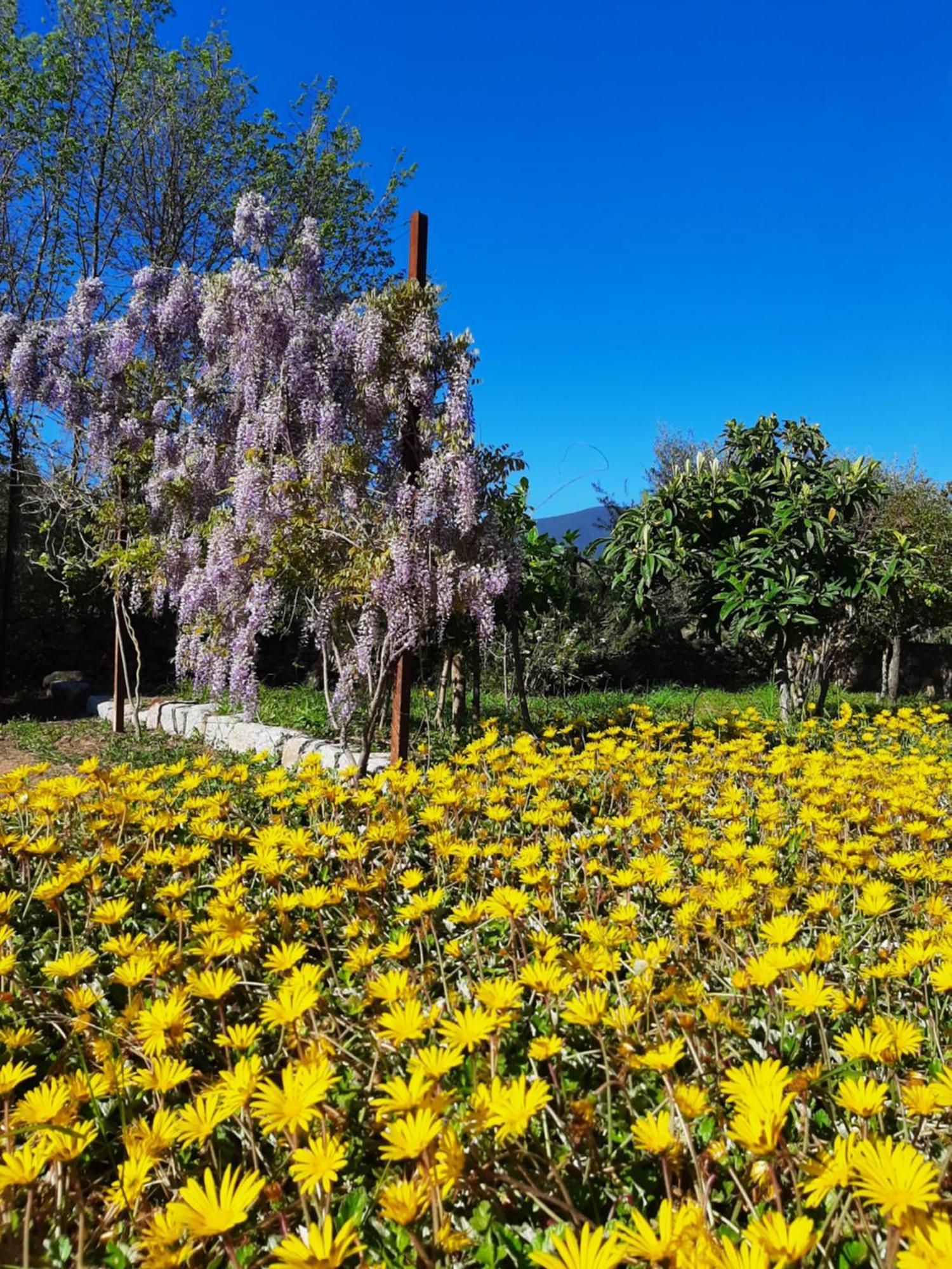 Casale Diletta Bed & Breakfast Castiadas Exterior photo